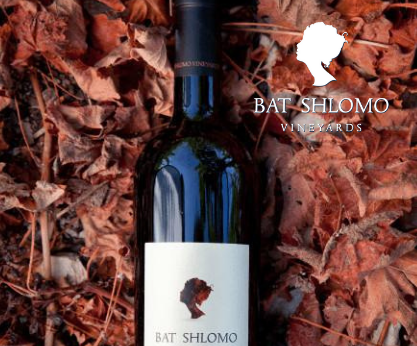 Bat Shlomo Winery